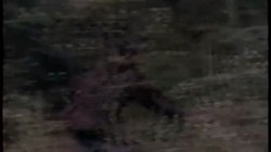 'The Pleasure Hunt Part II' screenshot nº 114