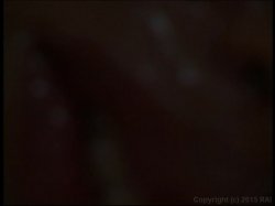 Captura de 'Live Bait 5' nº 107