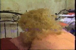 Captura de 'Older Hooters Older Tutors' nº 57