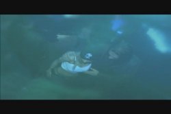 Captura de 'Fans Have Spoken 5' nº 3