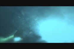 Captura de 'Fans Have Spoken 5' nº 1