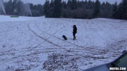 'Public Pickups #15' screenshot nº 117