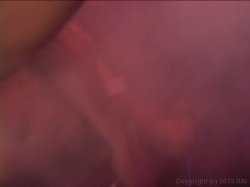 Captura de 'Silvia Loves Jenna' nº 53
