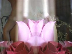 'Here Cum The Brides' screenshot nº 1