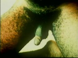 Captura de 'Nina Hartley's Guide to Oral Sex / Nina Harley's Advanced Guide to Oral Sex (2 Pack)' nº 20