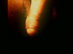 Captura de 'Nina Hartley's Guide to Oral Sex / Nina Harley's Advanced Guide to Oral Sex (2 Pack)' nº 21