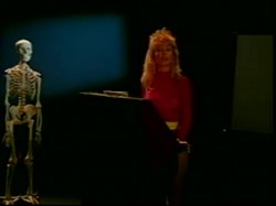 Captura de 'Nina Hartley's Guide to Oral Sex / Nina Harley's Advanced Guide to Oral Sex (2 Pack)' nº 3