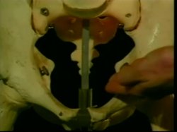 Captura de 'Nina Hartley's Guide to Oral Sex / Nina Harley's Advanced Guide to Oral Sex (2 Pack)' nº 33