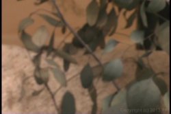'Truly Nice Tits' screenshot nº 24