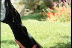 Captura de 'Decadent Divas 8' nº 22