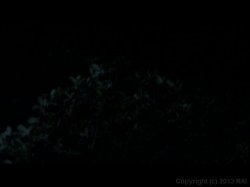 'Sacred Sin' screenshot nº 41
