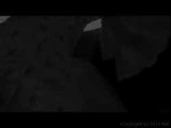 'Sacred Sin' screenshot nº 7