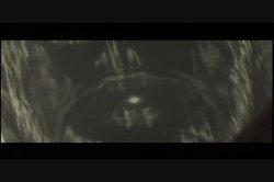 'All Lubed Up' screenshot nº 3