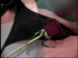 'Patriot Dames' screenshot nº 106