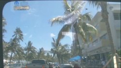 'POV 4 Me Amateur Adventures' screenshot nº 49
