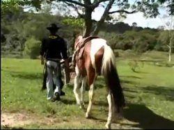 'Horse Ranch Girls' screenshot nº 5
