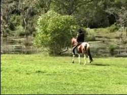 'Horse Ranch Girls' screenshot nº 6