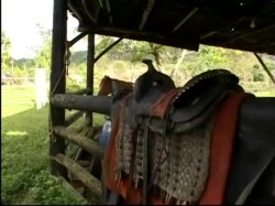 'Horse Ranch Girls' screenshot nº 85