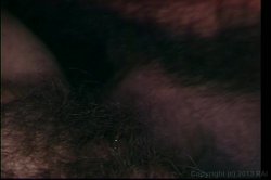'Colossal Orgy 2' screenshot nº 118