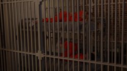 Captura de 'Lily Cade's Lesbian Lock-Up' nº 67