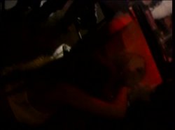 'Women R Wild: Club Style Atlantic City 2' screenshot nº 74