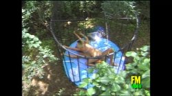 'Trasfusioni Di Sperma' screenshot nº 16