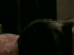 Captura de 'I'm Into Orgies' nº 107