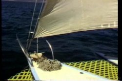 'Rumpman's Backdoor Sailing' screenshot nº 30