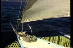 'Rumpman's Backdoor Sailing' screenshot nº 18
