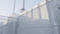 Captura de 'Huge Cock' nº 5