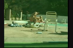 Captura de 'Top XXX Models - Blonde Edition 2' nº 64