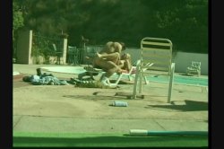 Captura de 'Top XXX Models - Blonde Edition 2' nº 65
