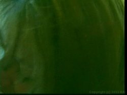 'Top XXX Models Latin Edition 1' screenshot nº 32