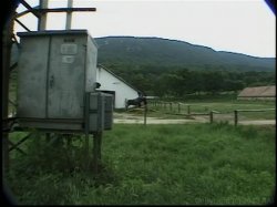 'Video Adventures of Peeping Tom 14' screenshot nº 54