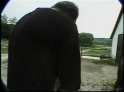 'Video Adventures of Peeping Tom 14' screenshot nº 55