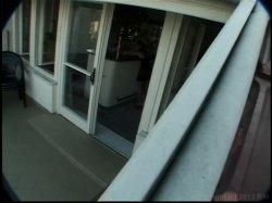 'Video Adventures of Peeping Tom 14' screenshot nº 98