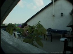 'Video Adventures of Peeping Tom 14' screenshot nº 106