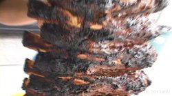 Captura de 'BBQ Orgy' nº 6