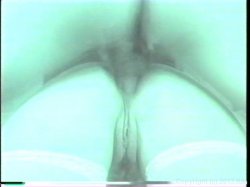 Captura de 'Anal Party Girls' nº 62