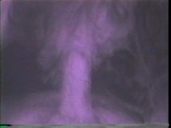 Captura de 'Anal Party Girls' nº 123