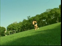 Captura de 'Pretty Little Latinas 11' nº 138