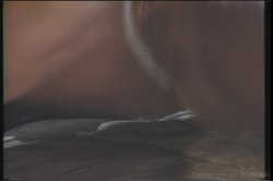 Captura de 'Maneaters' nº 58