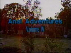 Captura de 'Anal Adventures 4 - Doin' It Up' nº 1