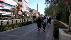 Captura de 'Private Sex - Las Vegas' nº 9