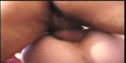 'Sweet As Honey 2' screenshot nº 93