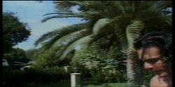 'Sweet As Honey 2' screenshot nº 107