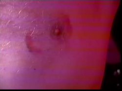 'Die Diva Schwarze Rose' screenshot nº 11