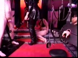 'Die Diva Schwarze Rose' screenshot nº 12