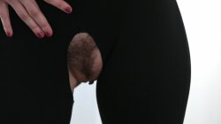 Captura de 'Anal Freaks 3' nº 92