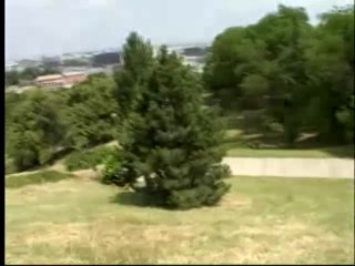Scene 5